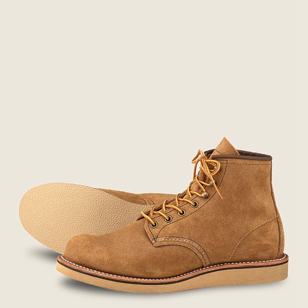 Botas Red Wing Heritage Hombre Naranjas - Rover - 6-Inch Muleskinner Cuero - 617-NAPOQL